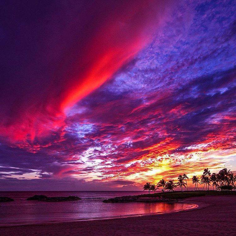 25399002_1776787535684980_2273541739264232894_n